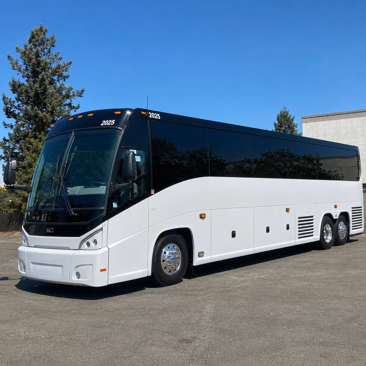 56 passenger charter bus