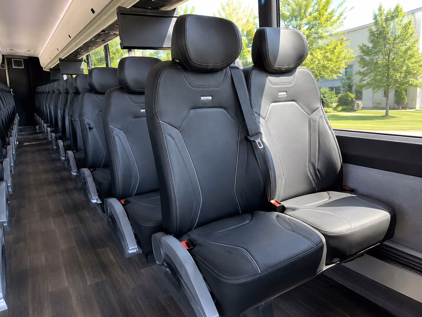 eugene concert transportation